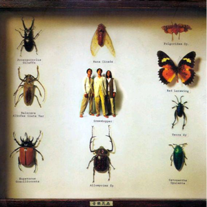 超级级碰碰费视频免
