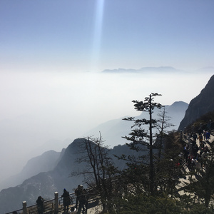 超级级碰碰费视频免
